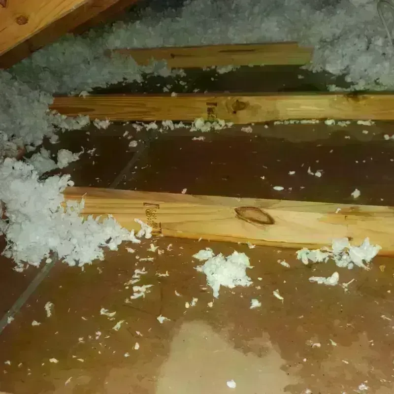 Attic Water Damage in Eagle County, CO