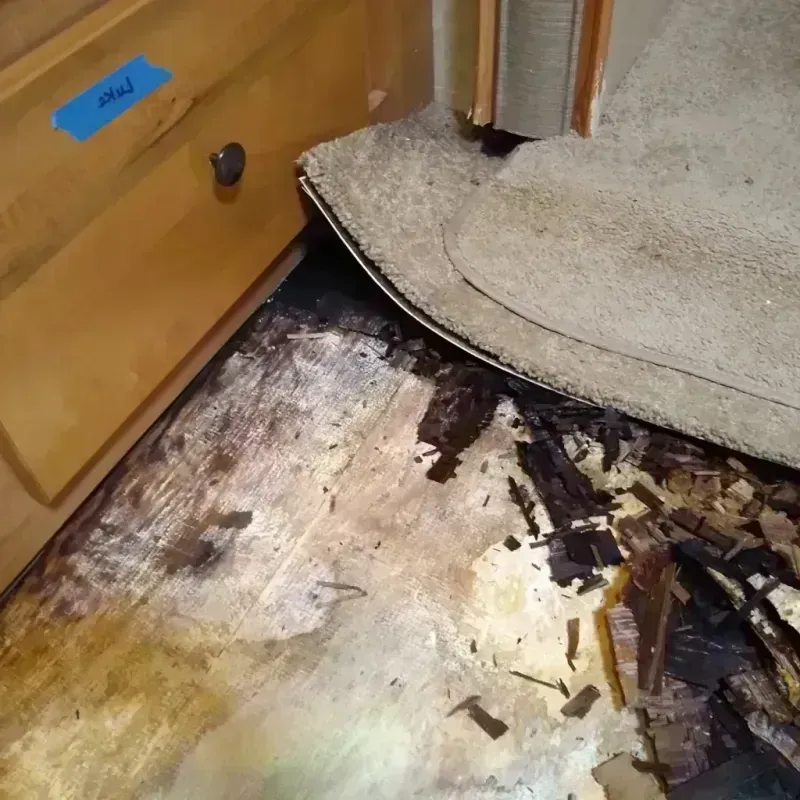 Wood Floor Water Damage in Eagle County, CO